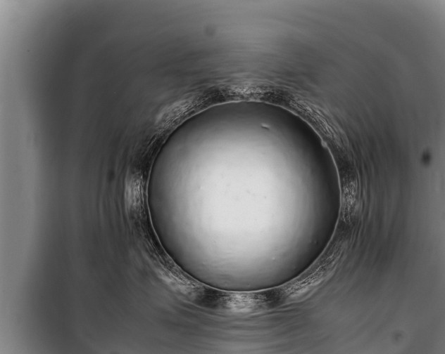 X0000100850623200806271137