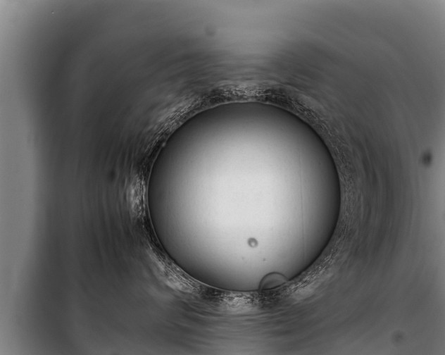 X0000100850624200806271137