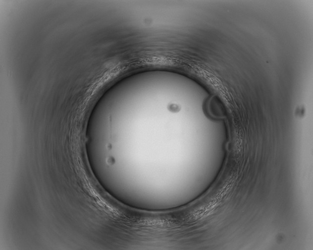 X0000100850625200806271136