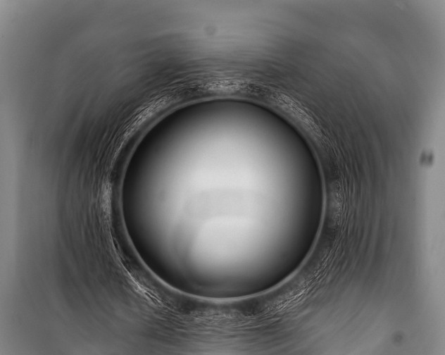 X0000100850626200806271136