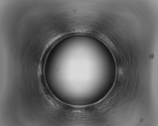 X0000100850628200806271136