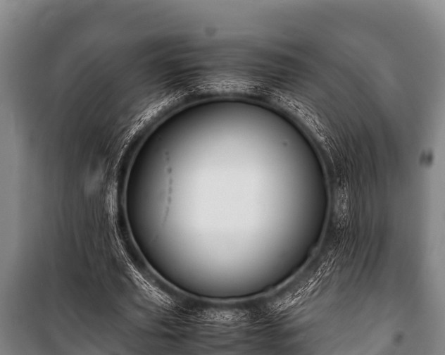 X0000100850629200806271136