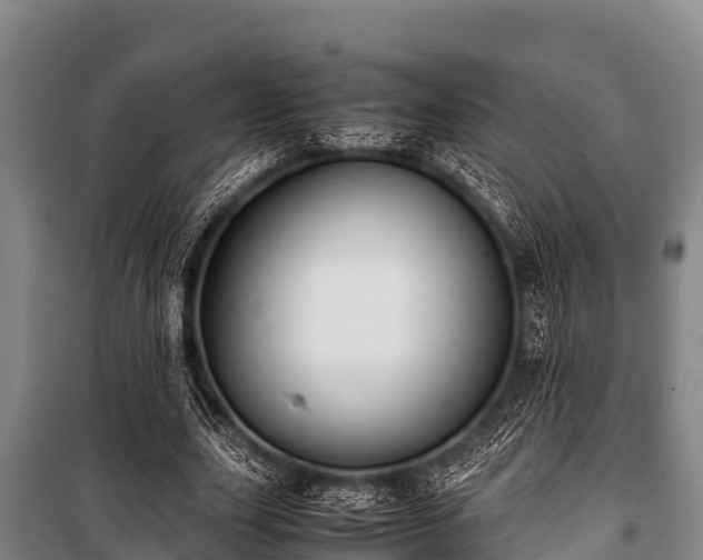 X0000100850631200806271136