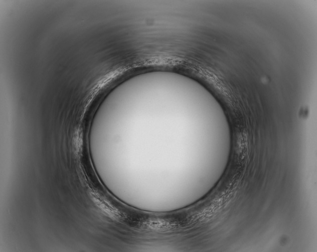 X0000100850632200806271136