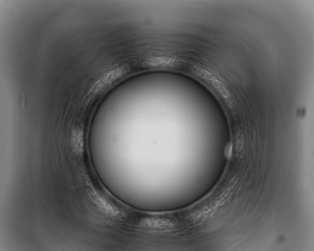 X0000100850633200806271136