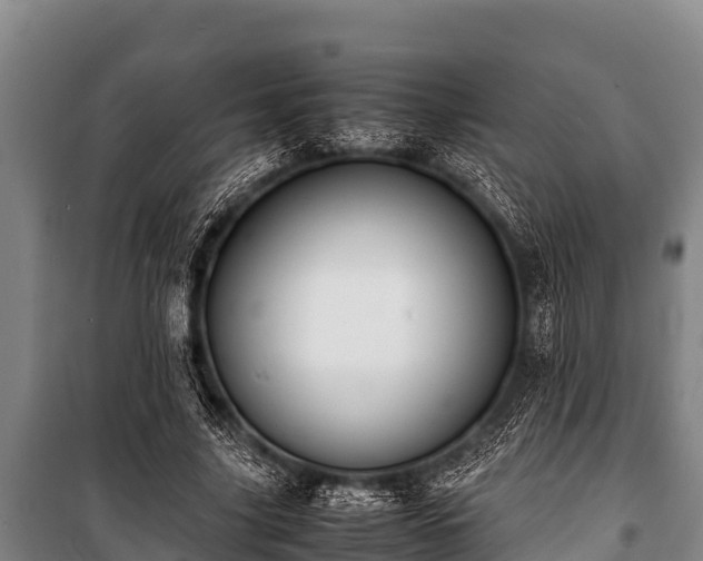 X0000100850635200806271136