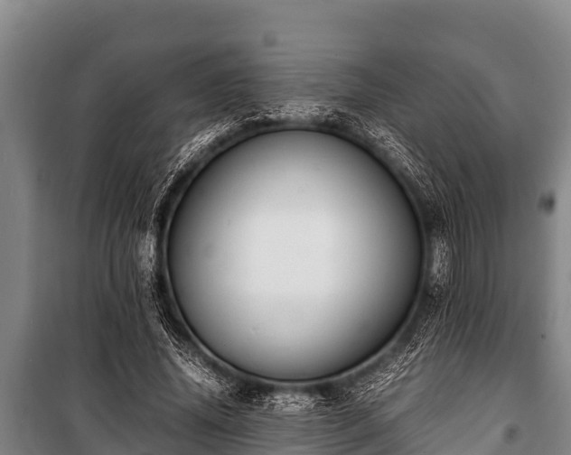 X0000100850636200806271136