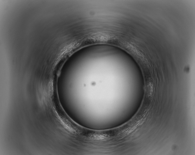 X0000100850638200806271136