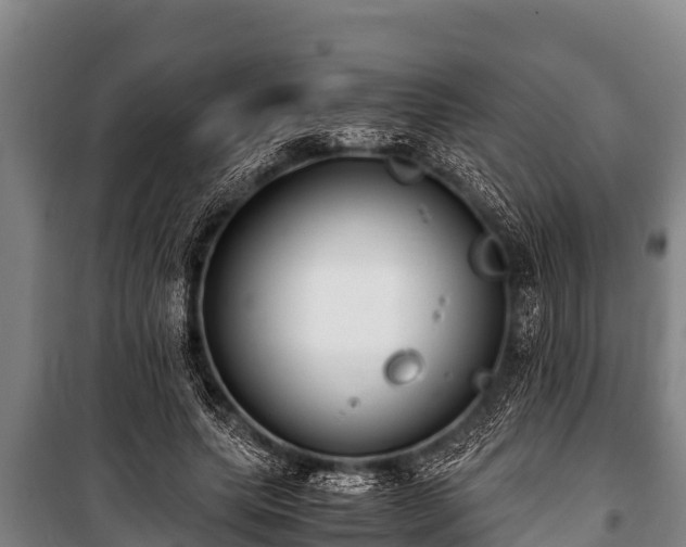 X0000100850639200806271136