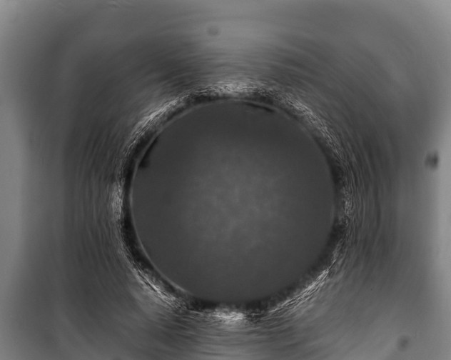 X0000100850640200806271136