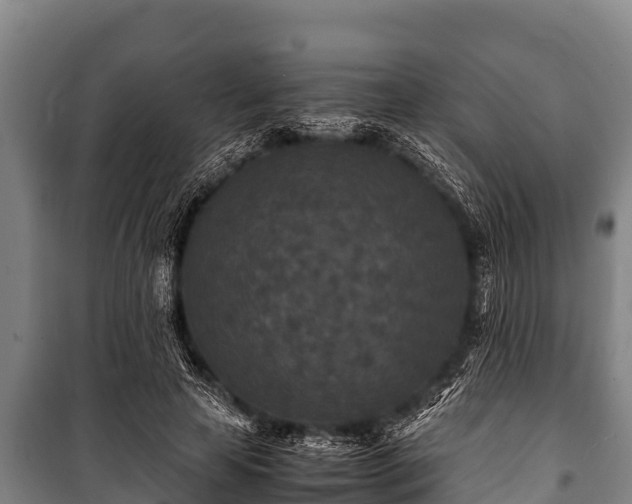 X0000100850641200806271136