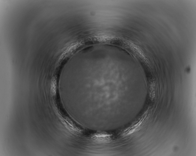 X0000100850644200806271136