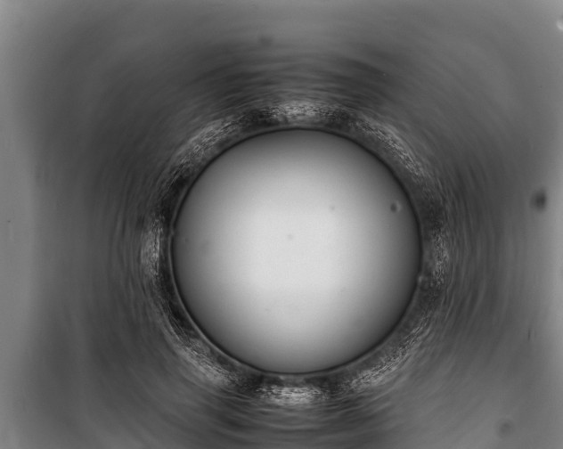 X0000100850645200806271136