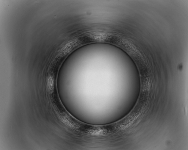 X0000100850646200806271136