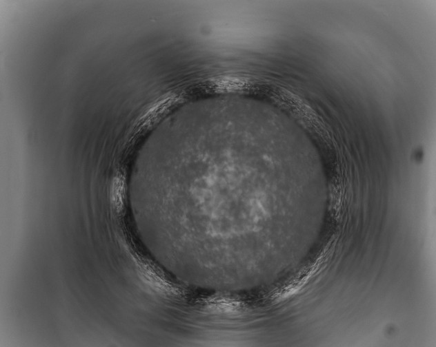 X0000100850648200806271136