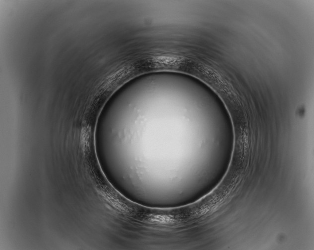 X0000100850649200806271136