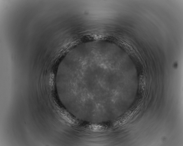 X0000100850650200806271136