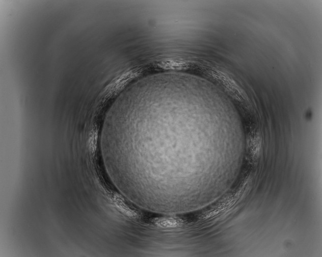 X0000100850652200806271136