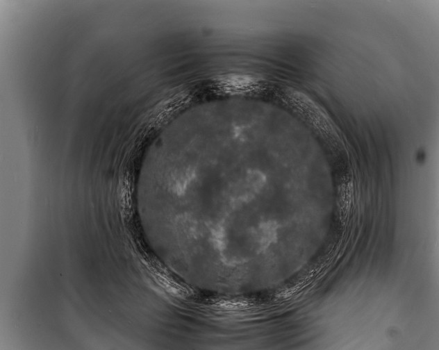 X0000100850653200806271136