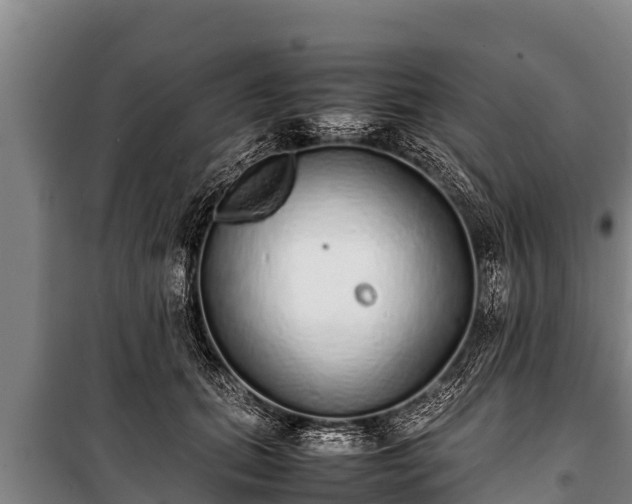 X0000100850655200806271137