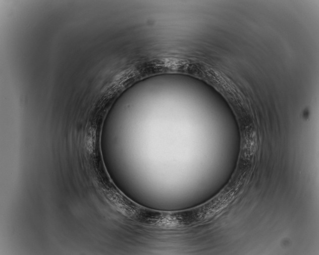 X0000100850656200806271137