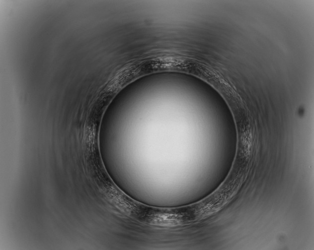 X0000100850657200806271137