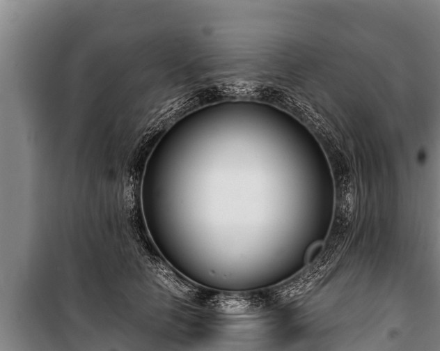 X0000100850658200806271137