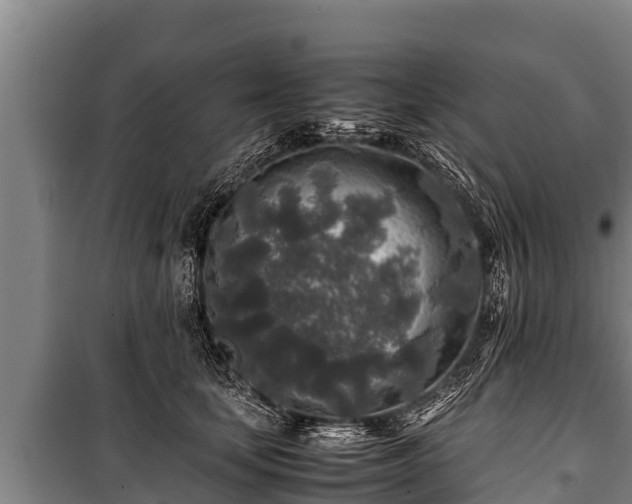 X0000100850659200806271137