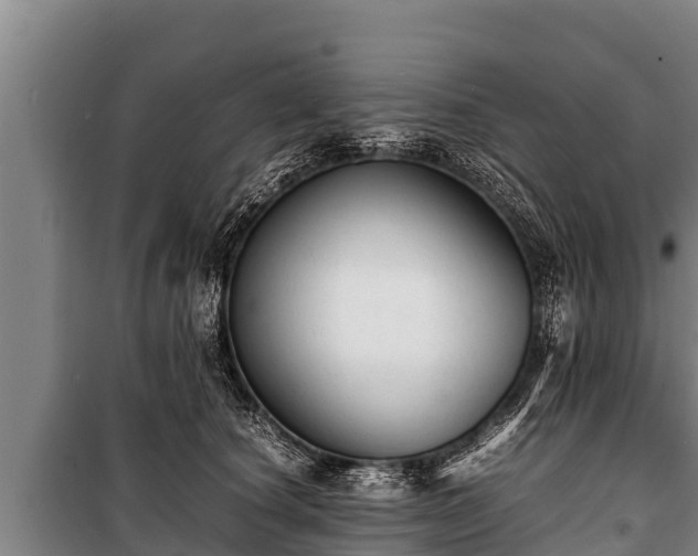 X0000100850660200806271137