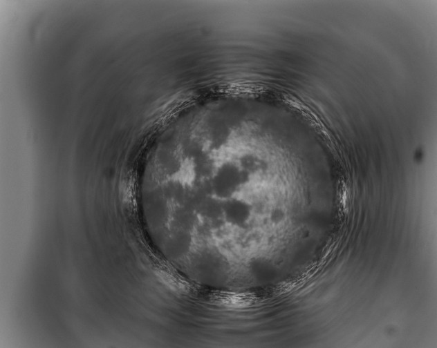 X0000100850663200806271137