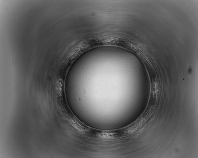 X0000100850664200806271137