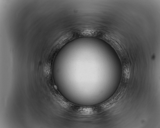 X0000100850665200806271137