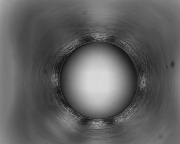 X0000100850666200806271137