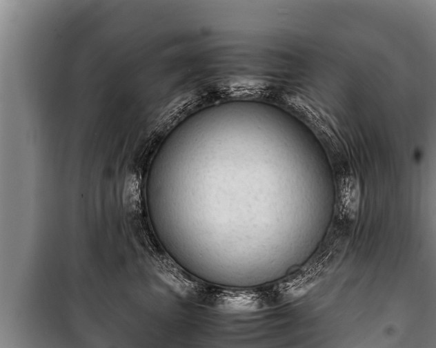 X0000100850667200806271137