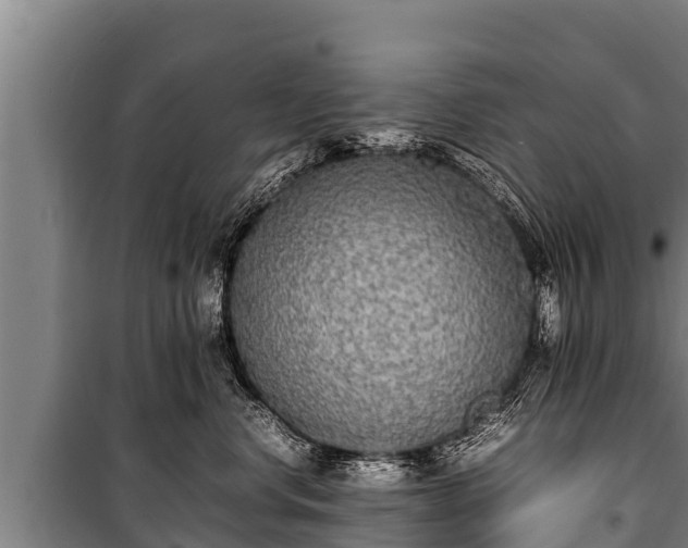 X0000100850668200806271137