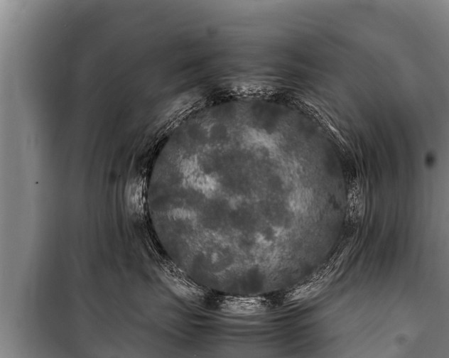 X0000100850671200806271137