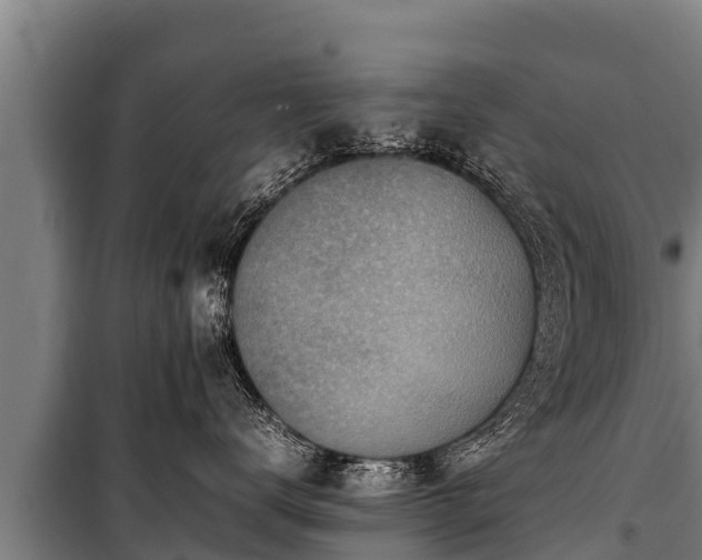 X0000100850672200806271137