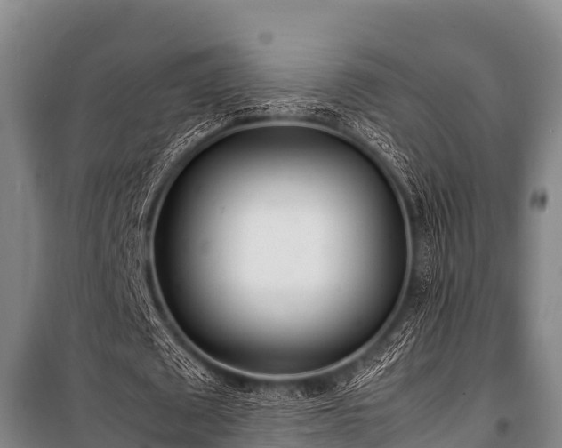 X0000100850673200806271136