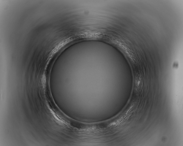 X0000100850674200806271136