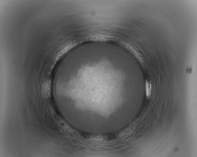 X0000100850675200806271136