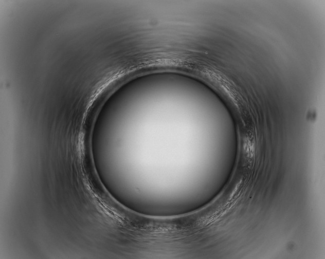 X0000100850676200806271136