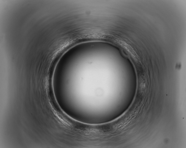 X0000100850677200806271136