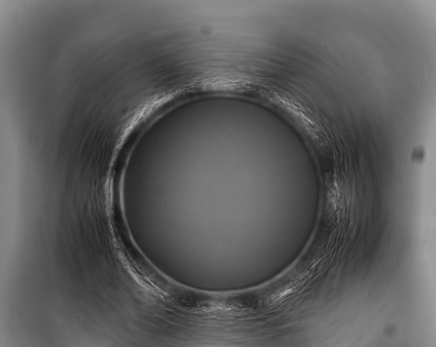 X0000100850678200806271136