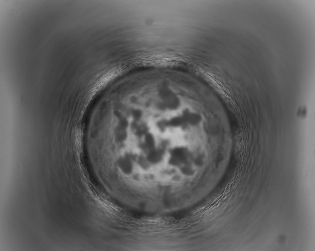 X0000100850679200806271136