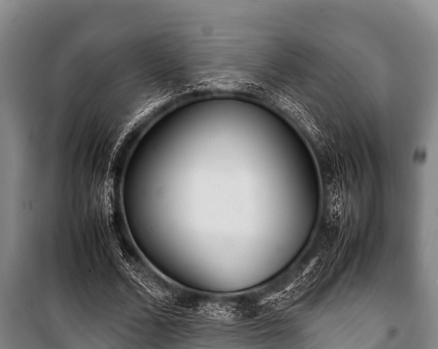 X0000100850680200806271136