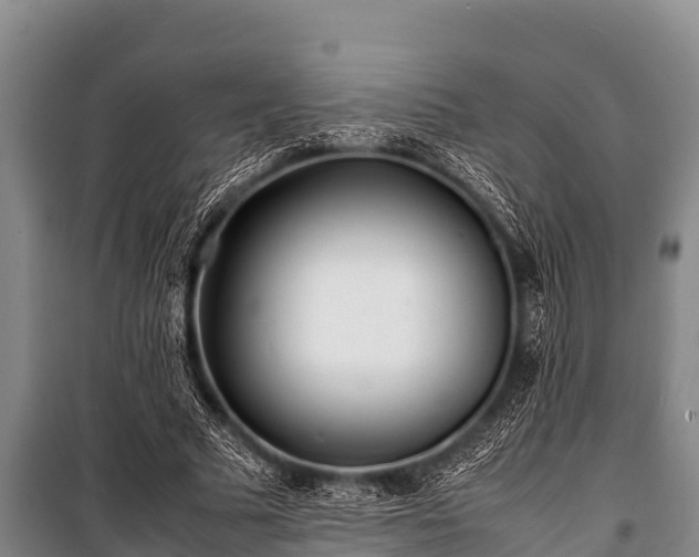 X0000100850681200806271136