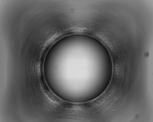 X0000100850682200806271136