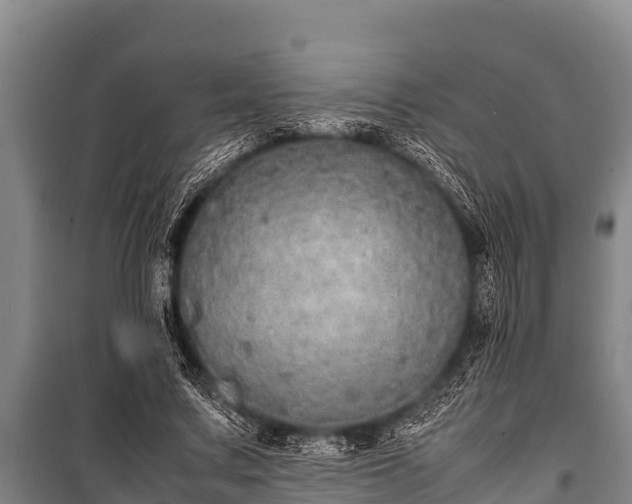 X0000100850683200806271136