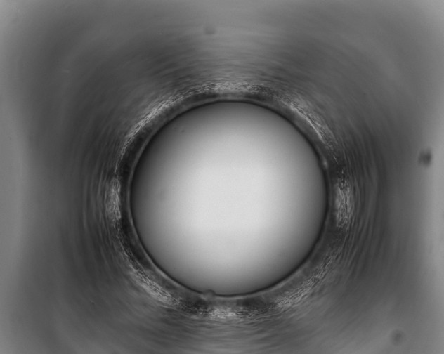 X0000100850684200806271136