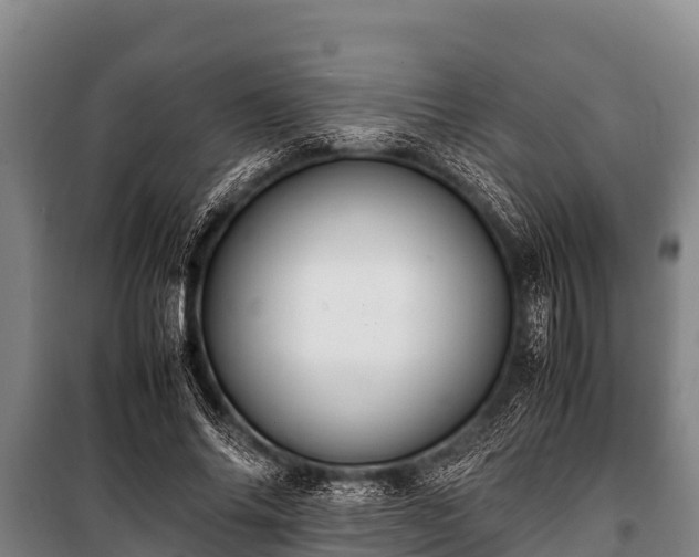 X0000100850686200806271136